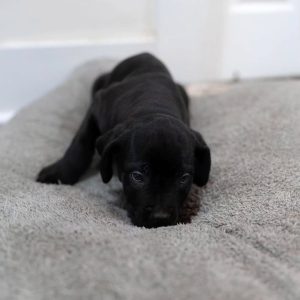 WhatsApp Image 2025 09 22 at 3.25.22 AM 1