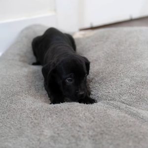 WhatsApp Image 2025 09 22 at 3.25.23 AM