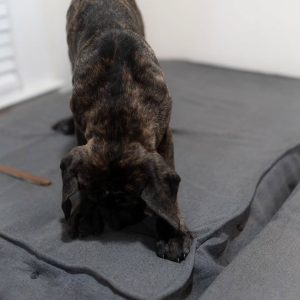 WhatsApp Image 2025 09 22 at 3.27.34 AM