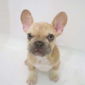 WhatsApp Image 2025 09 23 at 12.44.38 PM 1