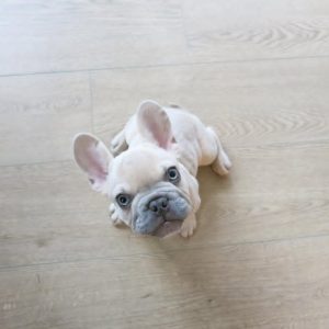 WhatsApp Image 2025 09 23 at 12.44.39 PM