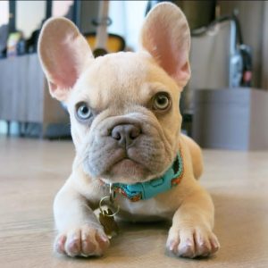 WhatsApp Image 2025 09 23 at 12.44.40 PM