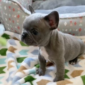 WhatsApp Image 2025 09 23 at 12.46.04 PM