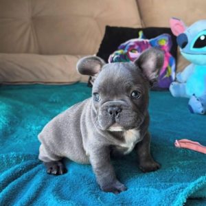 WhatsApp Image 2025 09 23 at 12.46.05 PM