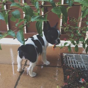 WhatsApp Image 2025 09 23 at 12.48.50 PM