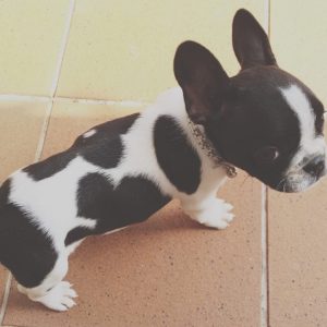 WhatsApp Image 2025 09 23 at 12.48.51 PM