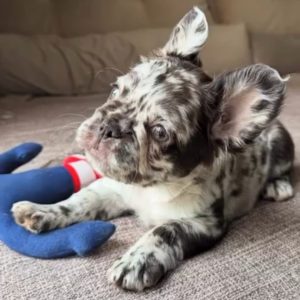 WhatsApp Image 2025 09 23 at 12.50.01 PM 1