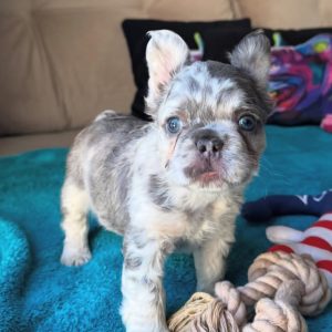 WhatsApp Image 2025 09 23 at 12.50.02 PM