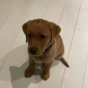 WhatsApp Image 2025 09 23 at 8.42.56 AM