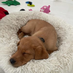 WhatsApp Image 2025 09 23 at 8.42.57 AM