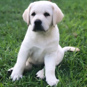 WhatsApp Image 2025 09 23 at 8.45.03 AM