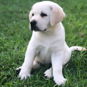 WhatsApp Image 2025 09 23 at 8.45.05 AM