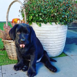 WhatsApp Image 2025 09 23 at 8.47.18 AM 1