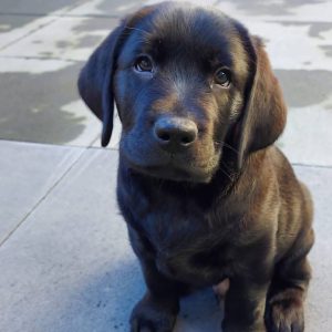 WhatsApp Image 2025 09 23 at 8.47.18 AM