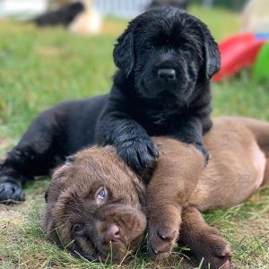 WhatsApp Image 2025 09 23 at 8.53.30 AM