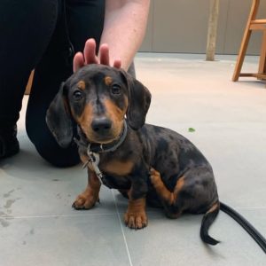 WhatsApp Image 2025 09 23 at 9.04.01 AM