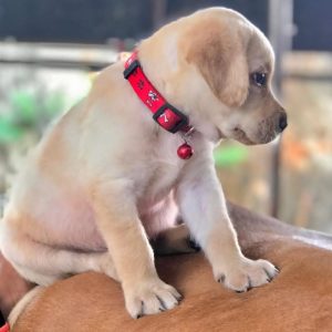 WhatsApp Image 2025 10 02 at 8.50.34 AM