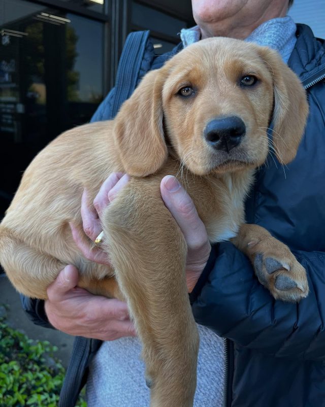 glowpriscila 1744680050 3610960442667803222 3128714260